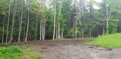 00 Dexter Mountain Rd, Glover, VT 05839 - photo 3