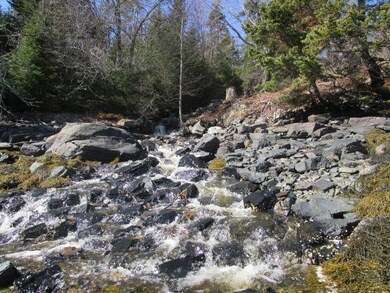 Haible photos SEal cove 017