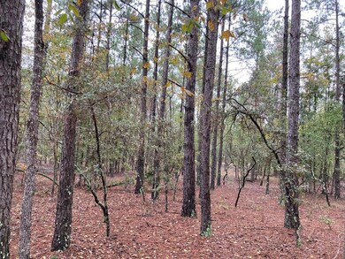 Mature pines scattered throughout