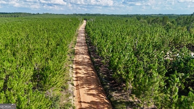 0 Penny Morris Rd, Baxley, GA 31513 - photo 4