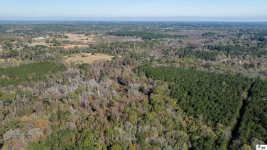 384 Calhoun Barn Rd unit Calhoun Barn Road, Calhoun, LA 71225 - photo 6