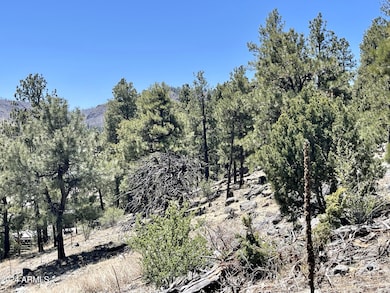 2 E County Road 1013 Rd unit 12, Greer, AZ 85927 - photo 4