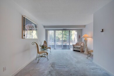 284 Place Ln, Woburn, MA 01801 - photo 6