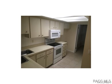 333 E Hartford St, Hernando, FL 34442 - photo 2