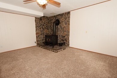 Rec room with wood stove