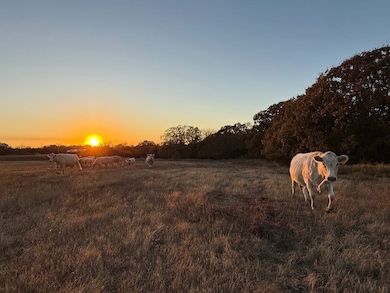 10430 Cr 1520, Ada, OK 74820 - photo 3