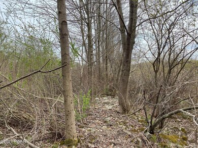 6 Pitcavage Ct, Cobbs Lake Preserve, PA 18436 - photo 7