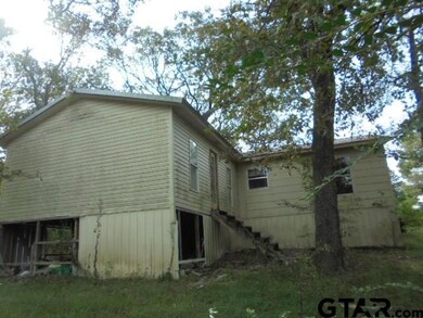 10250 County Road 3197, Arp, TX 75750 - photo 5