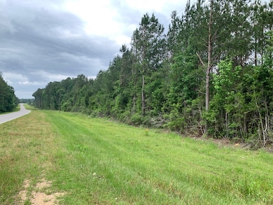 . Fergson Rd Barber Rd Crooked Creek Rd, Silver Creek, MS 39663 - photo 2