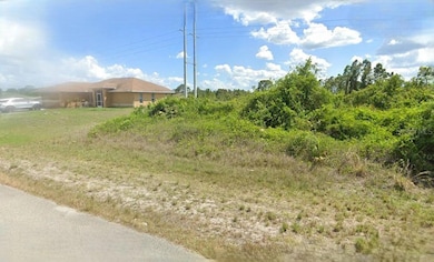 1206 Briarcliffe St, Lehigh Acres, FL 33913 - photo 3