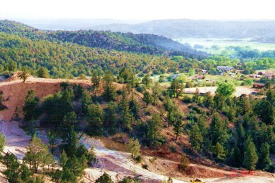 Carters Ridge View