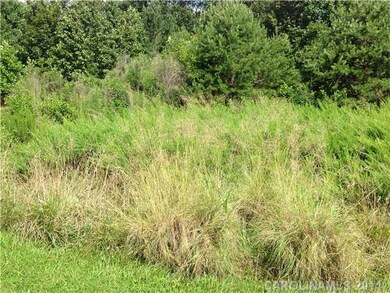 Land/Lot