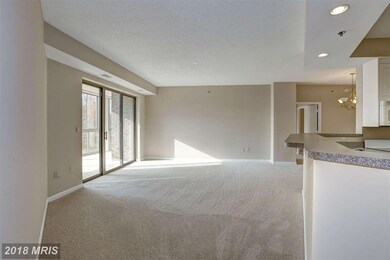 Creekside unit 309, Silver Spring, MD 20906 - photo 4