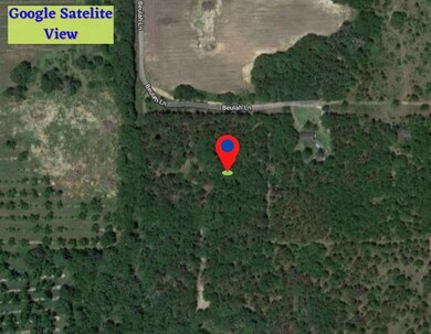 0000 Beulah Ln, Baconton, GA 31716 - photo 3