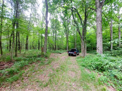 A clearing marks the end of the driveway