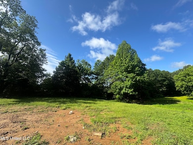 7231 N Hamilton Cir, Olive Branch, MS 38654 - photo 6