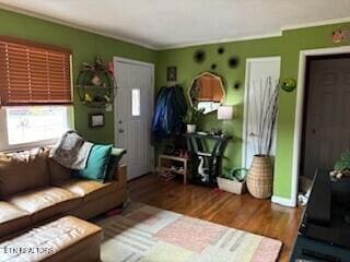 525 Tipton Ave, Knoxville, TN 37920 - photo 3