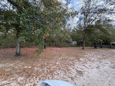 4667 Peppergrass St, Middleburg, FL 32068 - photo 2