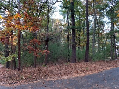 5B Seymour St, Concord, MA 01742 - photo 2