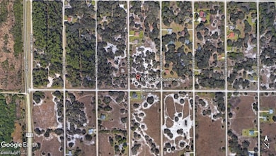 1802 Roosevelt Ave, Lehigh Acres, FL 33972 - photo 3