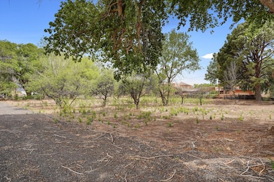 40 Blue Sky, Corrales, NM 87048 - photo 2
