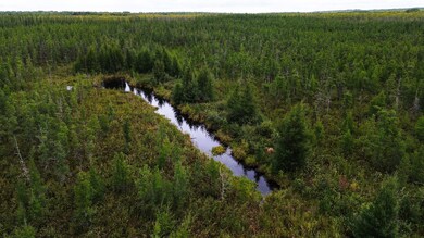 TBD State Highway 210 W, McGregor, MN 55760 - photo 4