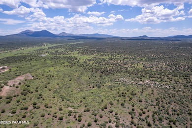 12080 N Buckbrush Cir, Prescott, AZ 86305 - photo 5