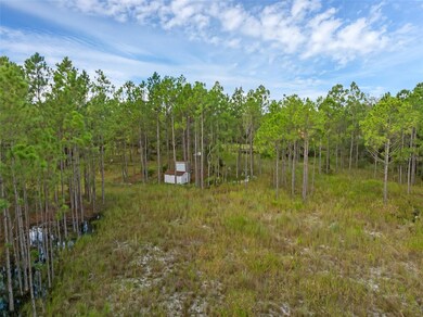 60 Natalies Ln, Ormond Beach, FL 32174 - photo 7