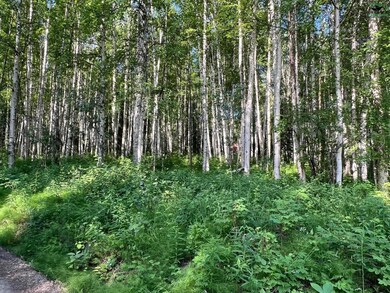 1901 Kittiwake Dr, College, AK 99709 - photo 4