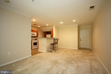 4522 Superior Square unit 4522, Fairfax, VA 22033 - photo 5