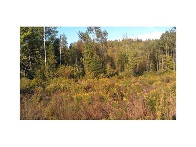Land/Lot.