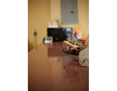 95 Dale St, Roxbury, MA 02119 - photo 7