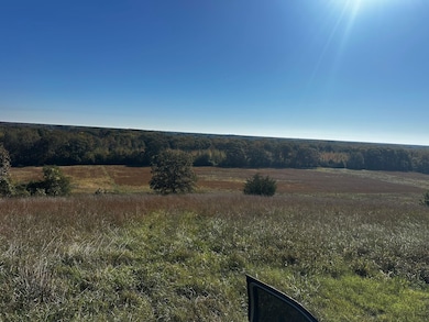 0 Webb Hill Rd, McRae, AR 72102 - photo 3