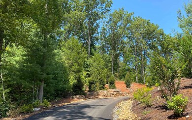 Additional View