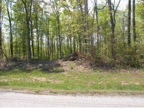 0 N Delaware Rd unit 273692, Batesville, IN 47006 - photo 2