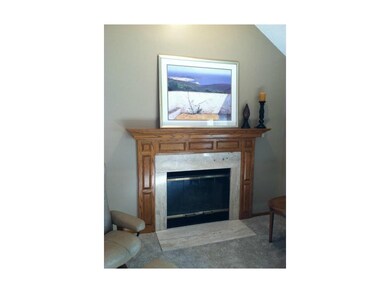 Gas Fireplace