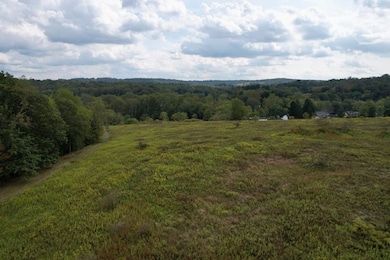 0 Pigeon Creek Rd unit 25006604, Eighty Four, PA 15330 - photo 4