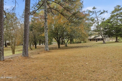 921 S Pearson Rd, Pearl, MS 39208 - photo 5