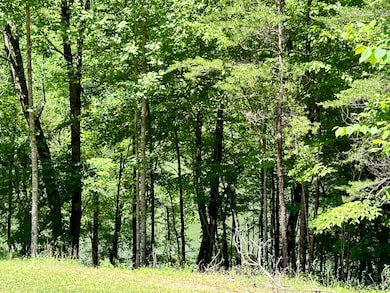 2780 Roberts Bend Rd, Burnside, KY 42519 - photo 6