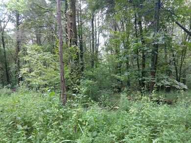 some large trees