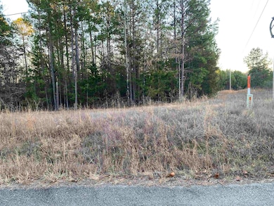 16.61 Acres Mountain Park Rd, Shirley, AR 72153 - photo 4