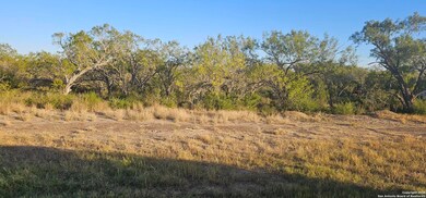 109 Sylas Hayes, Pleasanton, TX 78064 - photo 7