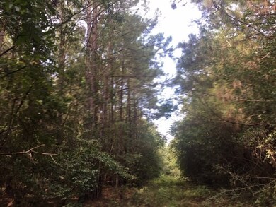 00 N Patten Rd, Tylertown, MS 39667 - photo 7