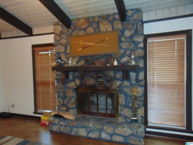 7223 Silver Ln, Adger, AL 35006 - photo 6