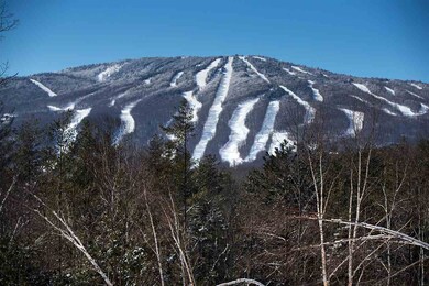 360 Commonwealth Ave, Ludlow, VT 05149 - photo 3