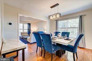 203 Glyndon Watch Ln, Reisterstown, MD 21136 - photo 4