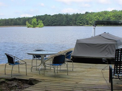 206 Spring Creek Ln, Drums, PA 18222 - photo 7