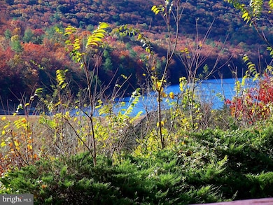 30 The Hill Rd unit L-30, Basye, VA 22810 - photo 3