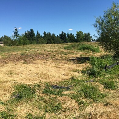 0 Dodd St, Blaine, WA 98230 - photo 4