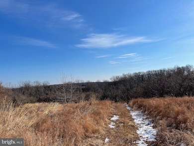 21828 Clear Creek Ln, Aldie, VA 20105 - photo 4